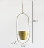 Gold Iron Ellipse Hanging Planter