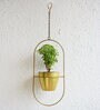 Gold Iron Ellipse Hanging Planter