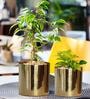 Gold Metal Grace Desk Pot Desk Pot (Set Of 2)