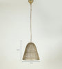 Zoro Gold Metal Hanging Light