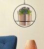 Gold Metal Hanging Planter Set of 1