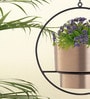 Gold Metal Hanging Planter Set of 1