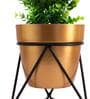 Gold Metal Noa Desk Pot Planter
