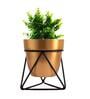 Gold Metal Noa Desk Pot Planter