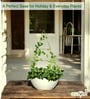 Gold Triangle Planter Stand For Climbing Plants