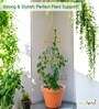 Gold Triangle Planter Stand For Climbing Plants