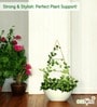 Gold Triangle Planter Stand For Climbing Plants