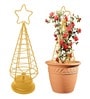 Gold Star Planter Stand For Climbing Plants