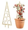 Gold Circul Planter Stand For Climbing Plants