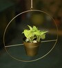 Gold Metal Round Hanging Planter