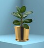 Gold Metal Round Planter
