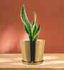 Gold Metal Round Planter