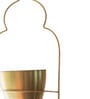 Gold Iron Saira Hanging Planter