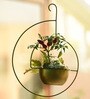 Gold Metal Spiral Bird Feeder or Hanging Planter