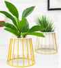 Gold Metal Taper Cylinderical Table Planter Stand With White Pot (Set of 2)