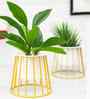 Gold Metal Taper Cylinderical Table Planter Stand With White Pot (Set of 2)