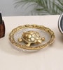 Gold Metal Tortiose On Glass Plate