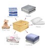 Gold Non Woven Foldable (Set of 2) Underbed Organizer