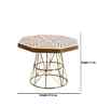 Gold Nova Cradle Decorative Cake Stand