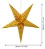 Gold Paper Christmas Star (Set of 2)