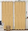 Gold Polyester Solid 7 ft Light Filtering Eyelet (Set of 2) Door Curtains