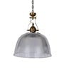 Daisy Gold Gold Polycarbonate Hanging Light