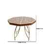 Gold Savor Stack Decorative Cake Stand