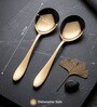 Set of 2 Gold Serving Spoons
