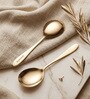 Set of 2 Gold Serving Spoons