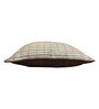 Gold Striped Silk 16 x 16 Inches Cushion Cover
