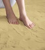 Gold Solid Polyester 4 X 6 Feet Machine Made Carpet