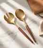 Gold Stainless Steel Serving Spoons With Wooden Handles Set Of 2