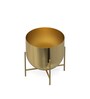 Golden Aluminium Tess Pot