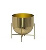 Golden Aluminium Tess Pot