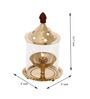 Golden Brass Akhand Diya With Glass