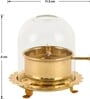 Golden Brass Akhand Jyoti Diya with Glass Dome, 4 Inch, 75 ml Oil Capacity