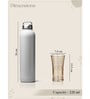 Golden Brilliance Highball Glass 220 Ml (Set Of 4)