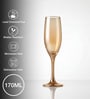 Golden Champagne Glass Set of 6