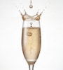 Golden Champagne Glass Set of 6