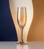 Golden Champagne Glass Set of 6