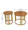 Golden Elegance Metal Side Table in Gold Finish