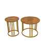 Golden Elegance Metal Side Table in Gold Finish