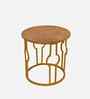 Golden Elegance Metal Side Table in Golden Finish