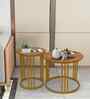 Golden Elegance Metal Side Table in Gold Finish