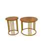 Golden Elegance Metal Side Table in Gold Finish