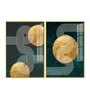 Golden Geometrical Acrylic Framed Art Panel (Set Of 2)