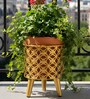 Golden Metal And Wood Round Bloom Planter