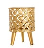 Golden Metal And Wood Round Bloom Planter