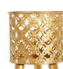 Golden Metal And Wood Round Bloom Planter