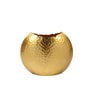 Golden Metal Flower Vase